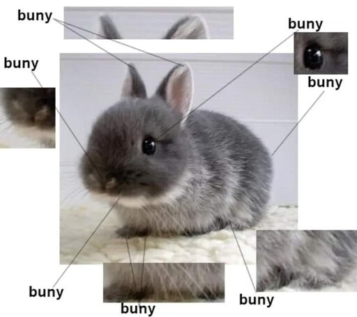 buny :) (image of a very cute bunny)