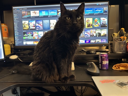 A fluffy black cat sits on a cluttered desk, in front of an ultrawide computer monitor displaying a Steam game library.