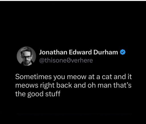 Sometimes you meow at a cat and it meows right back and oh man that's the good stuff