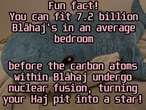 Fun fact! You can fit' 7.2. billion Blahaj's in an average bedroom  before the carbon atoms within Blahaj undergo nuclear fusion, turning your Haj pit: into a star!