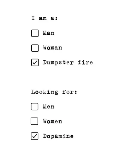 I am a: ❎Man ❎Women ✅Dumpster fire; Looking for ❎Men ❎Women ✅Dopamine