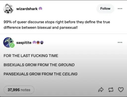 Tumblr post: "99% of queer discourse stops right before they define the true difference between bisexual and pansexual!" Reply: "FOR THE LAST FUCKING TIME BISEXUALS GROW FROM THE GROUND PANSEXUALS GROW FROM THE CEILING"